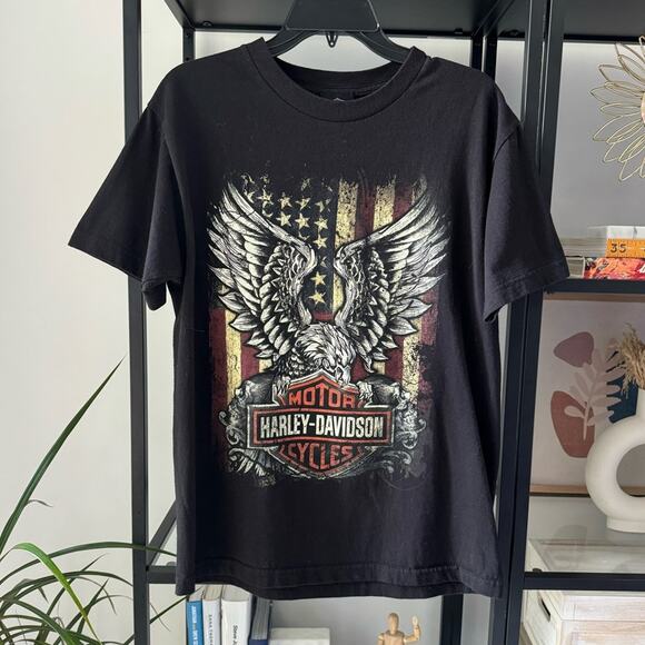 Harley Davidson Freedom USA Flag Eagle Oconomowoc Wisconsin Graphic T-Shirt S - Picture 1 of 7
